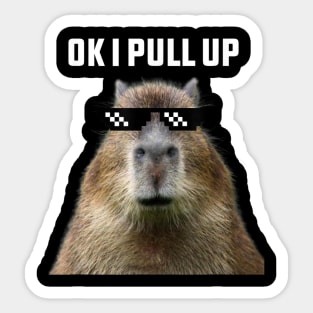 Ok I Pull Up Capybara Sticker